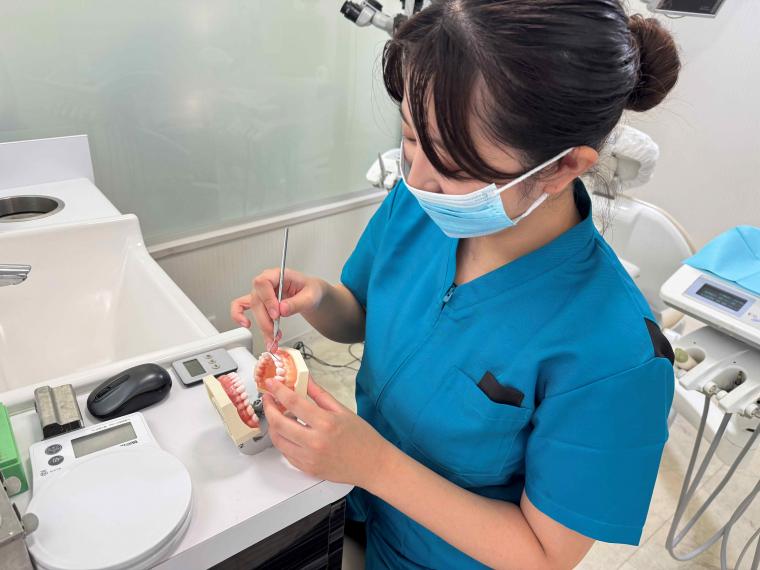 新しいメンバーのご紹介